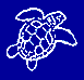 Medasset - Mediterranean Association
   to Save the Sea Turtles