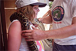 Amber and Burma