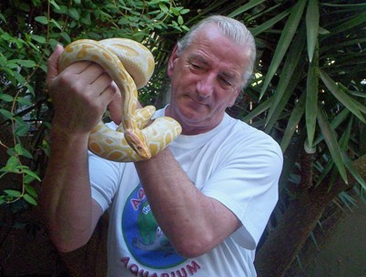 Burmese Python - Albino