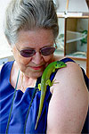Jerry's Mum and Dino