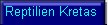 Reptilien die in Kreta vorkommen